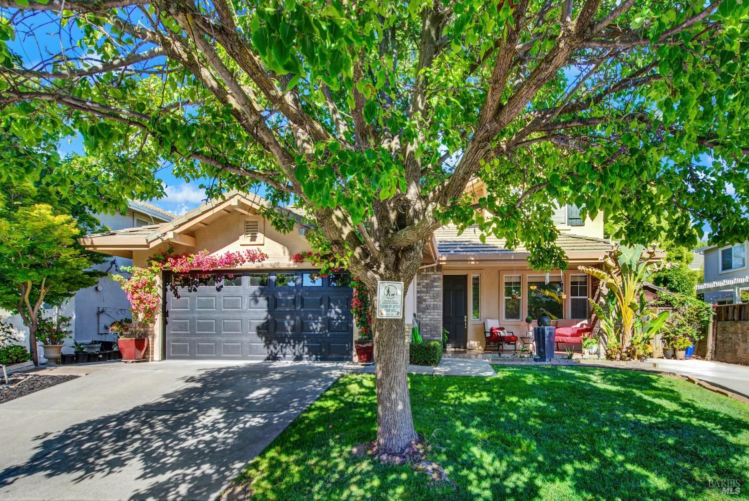 Detail Gallery Image 3 of 50 For 856 Liberty Dr, Napa,  CA 94559 - 4 Beds | 3 Baths