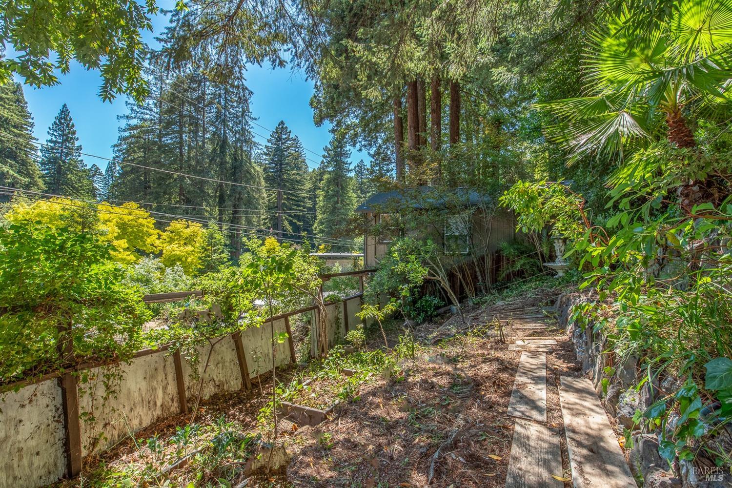 Detail Gallery Image 24 of 29 For 14091 Old Cazadero Rd, Guerneville,  CA 95446 - – Beds | – Baths