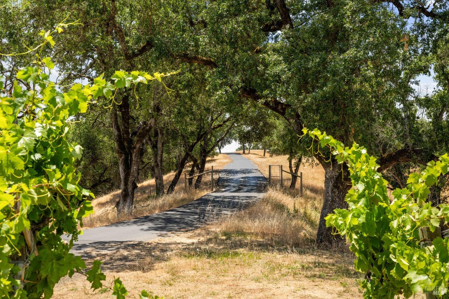 Detail Gallery Image 4 of 97 For 12111 Chalk Hill Rd, Healdsburg,  CA 95448 - 4 Beds | 4/2 Baths