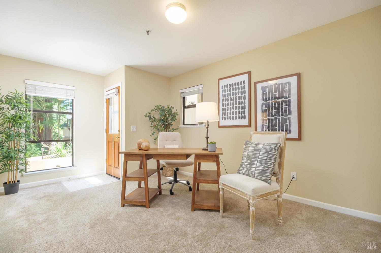 Detail Gallery Image 21 of 39 For 252 Miller Ave, Mill Valley,  CA 94941 - 3 Beds | 3/1 Baths