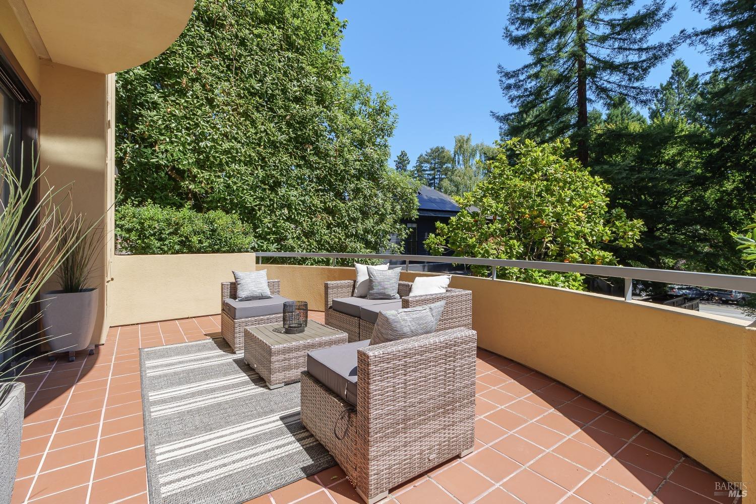 Detail Gallery Image 34 of 39 For 252 Miller Ave, Mill Valley,  CA 94941 - 3 Beds | 3/1 Baths
