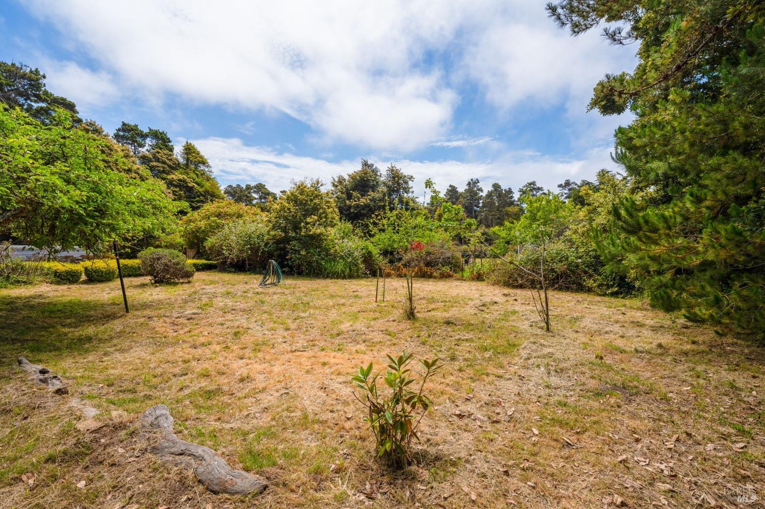 Detail Gallery Image 46 of 52 For 24751 Pine St, Fort Bragg,  CA 95437 - 3 Beds | 3/1 Baths