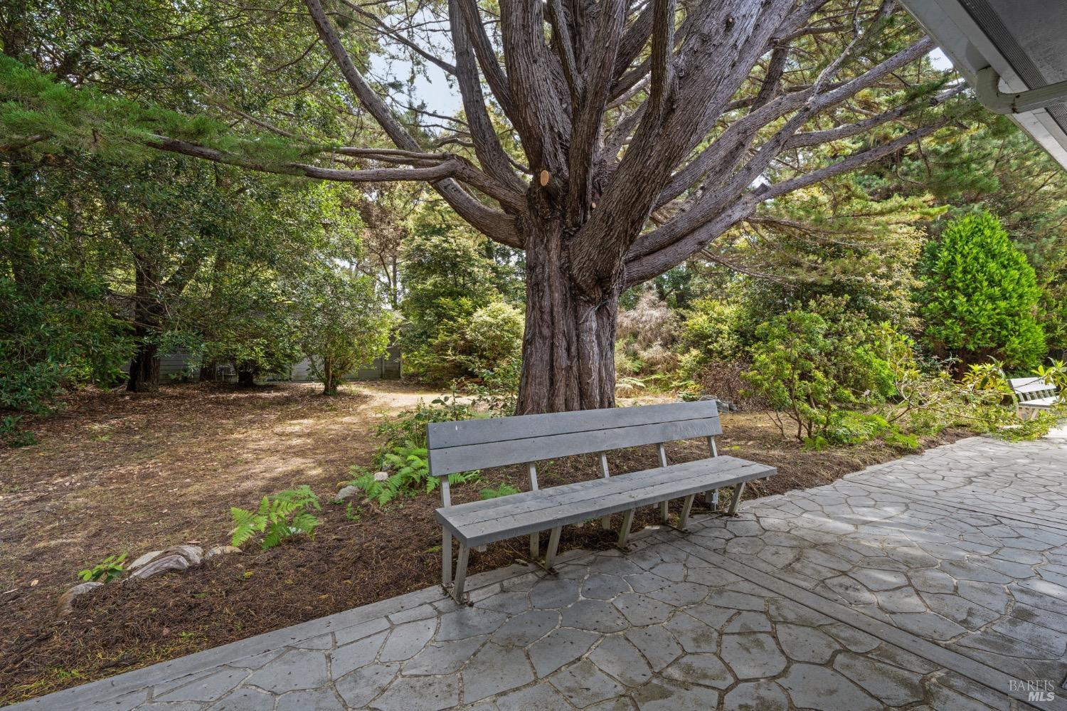 Detail Gallery Image 44 of 52 For 24751 Pine St, Fort Bragg,  CA 95437 - 3 Beds | 3/1 Baths