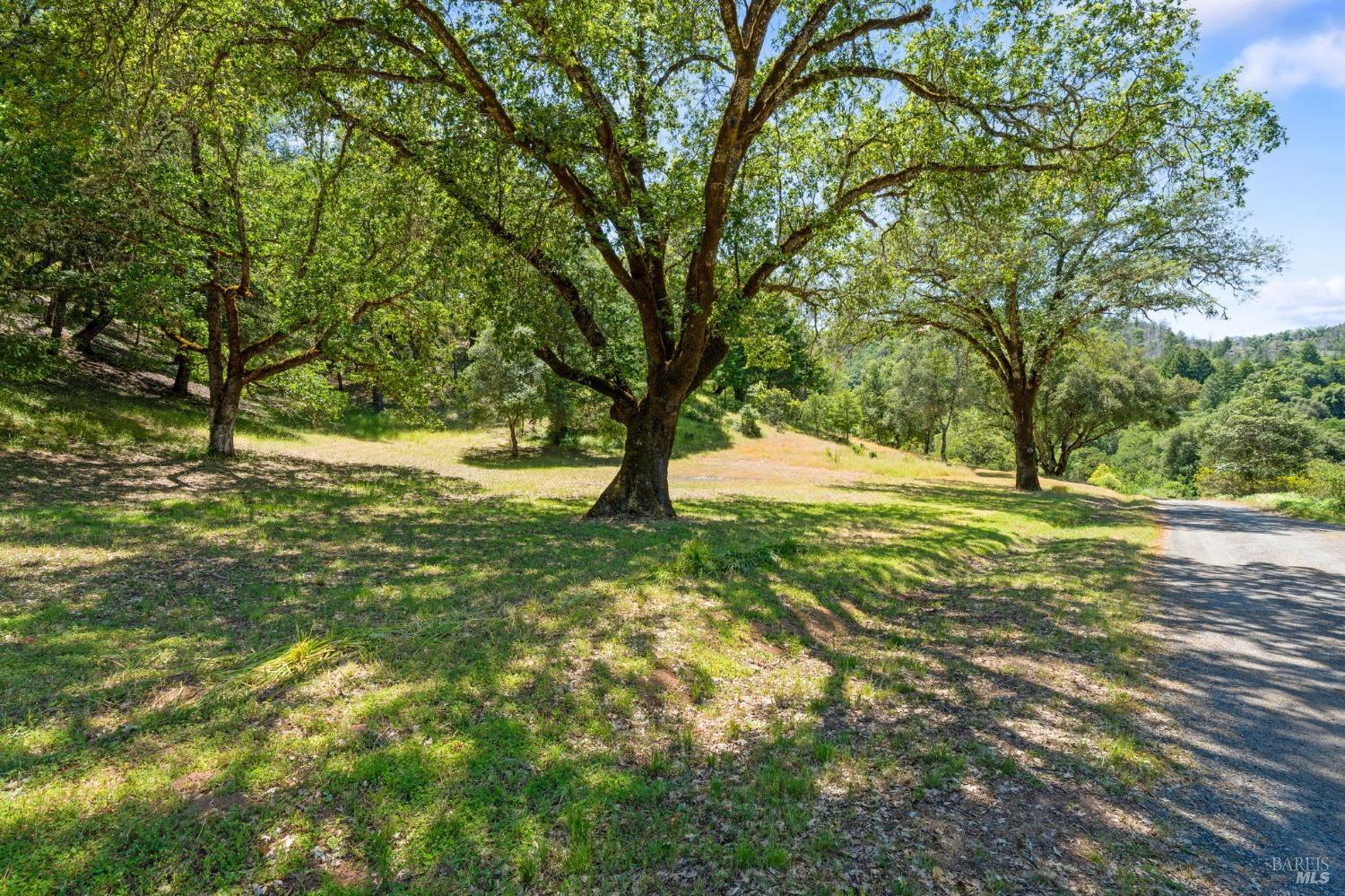 Detail Gallery Image 81 of 95 For 2401 Boonville Rd, Ukiah,  CA 95482 - 4 Beds | 4/1 Baths