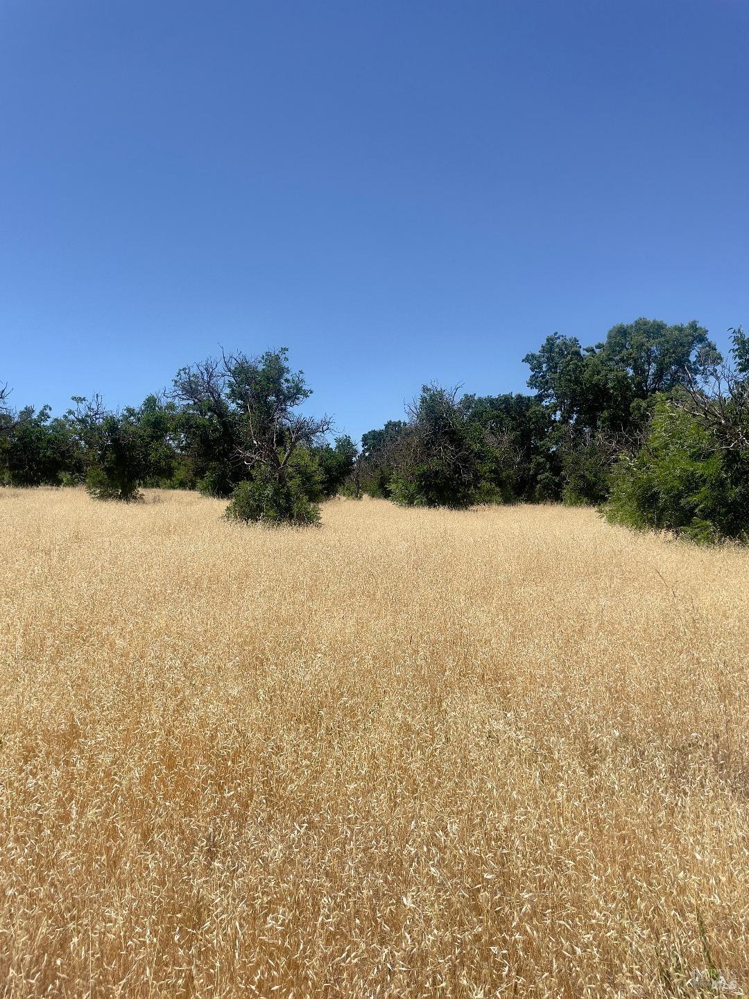 Finley East Road, Lakeport, California image 35