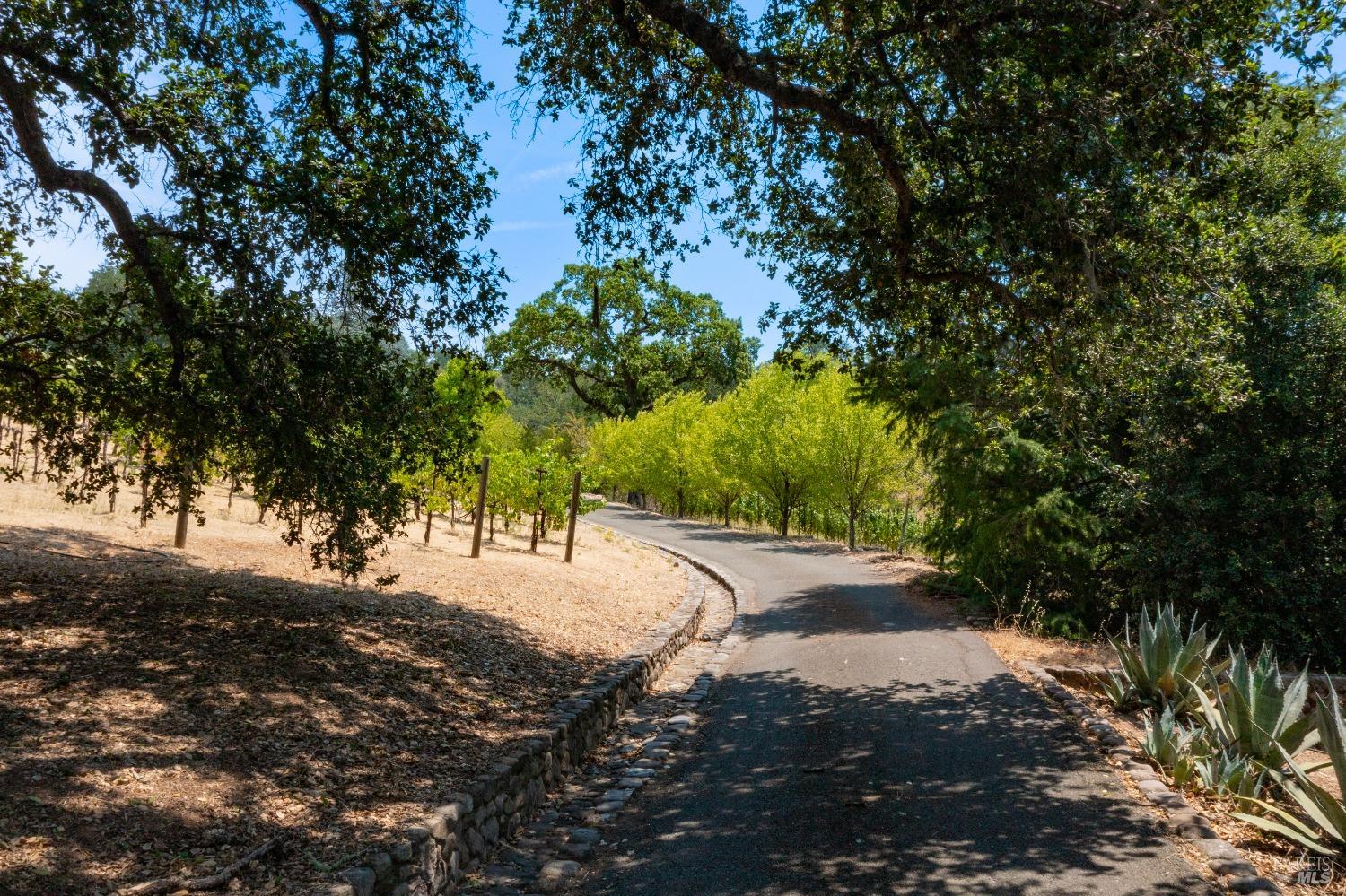 Detail Gallery Image 36 of 42 For 2930 Silverado Trl, Saint Helena,  CA 94574 - 4 Beds | 3/2 Baths