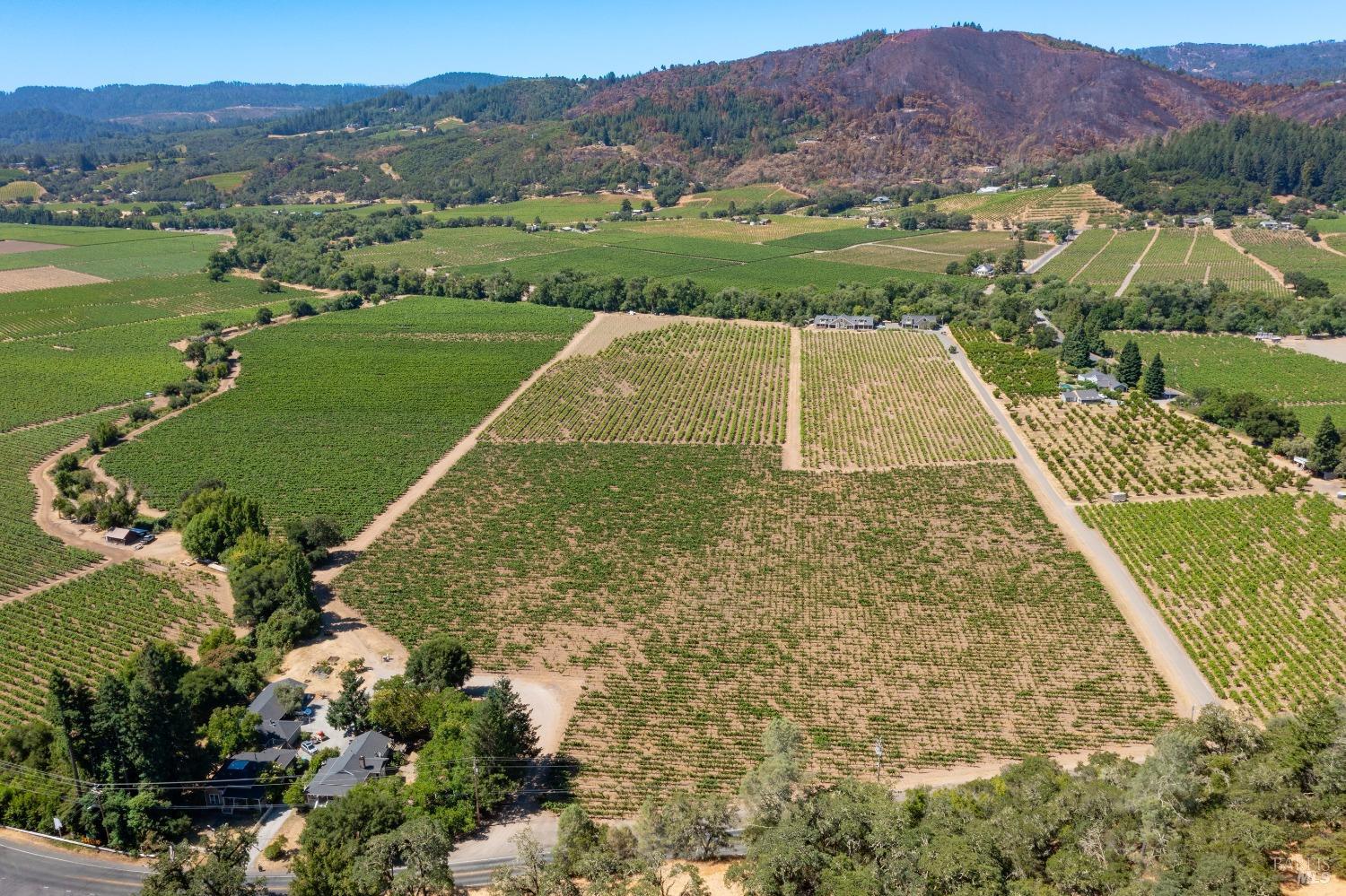 Detail Gallery Image 45 of 56 For 7011 Dry Creek Rd, Healdsburg,  CA 95448 - 7 Beds | 5 Baths