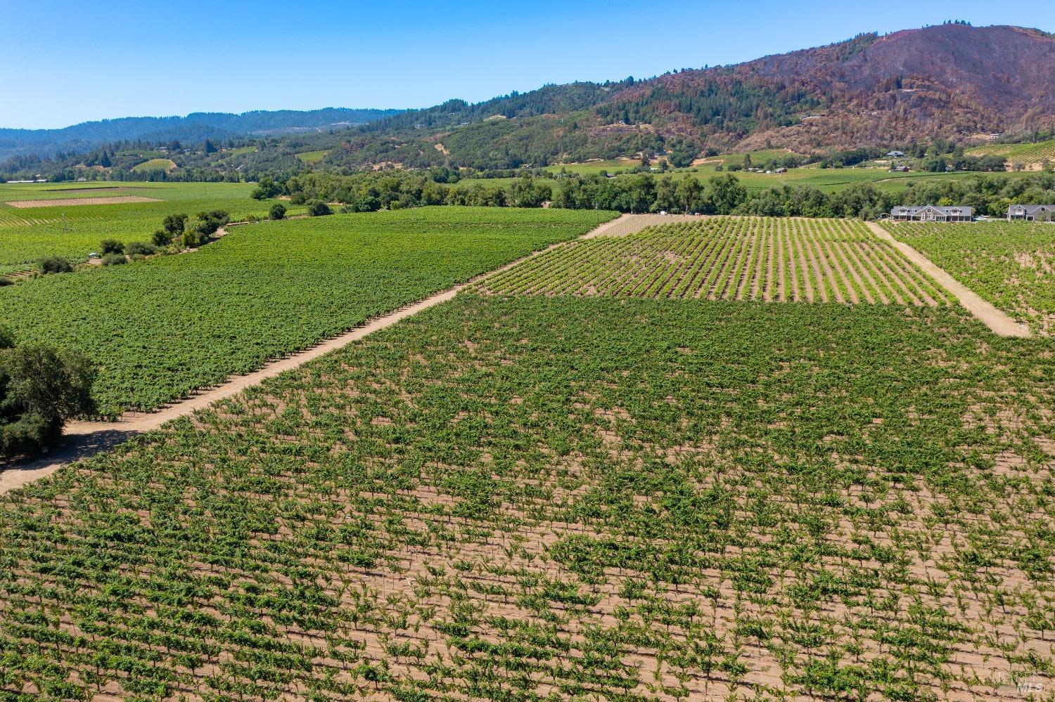 Detail Gallery Image 44 of 56 For 7011 Dry Creek Rd, Healdsburg,  CA 95448 - 7 Beds | 5 Baths