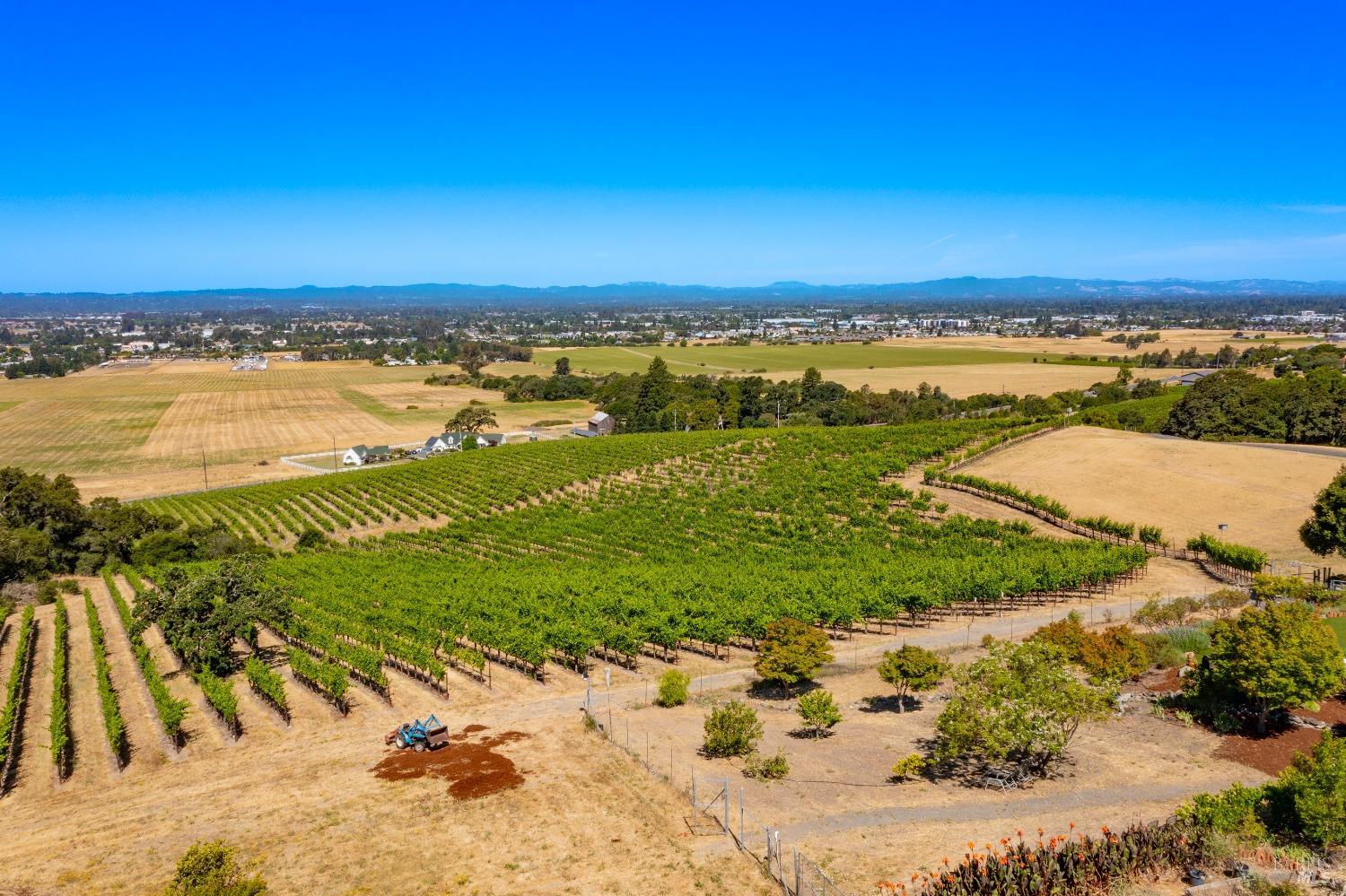 Detail Gallery Image 66 of 80 For 4000 Petaluma Hill Rd, Santa Rosa,  CA 95404 - 4 Beds | 3/1 Baths