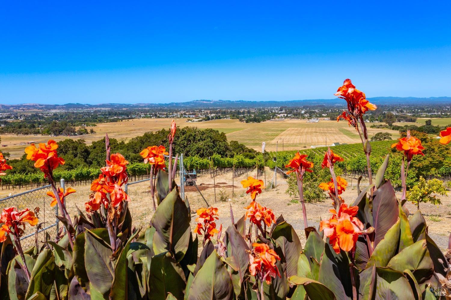 Detail Gallery Image 71 of 80 For 4000 Petaluma Hill Rd, Santa Rosa,  CA 95404 - 4 Beds | 3/1 Baths