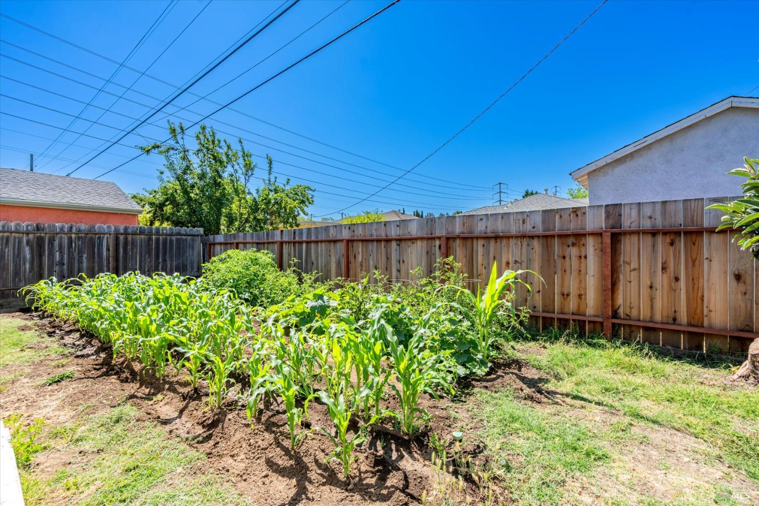 Detail Gallery Image 31 of 32 For 3021 Georgia St, Vallejo,  CA 94591 - 2 Beds | 1 Baths