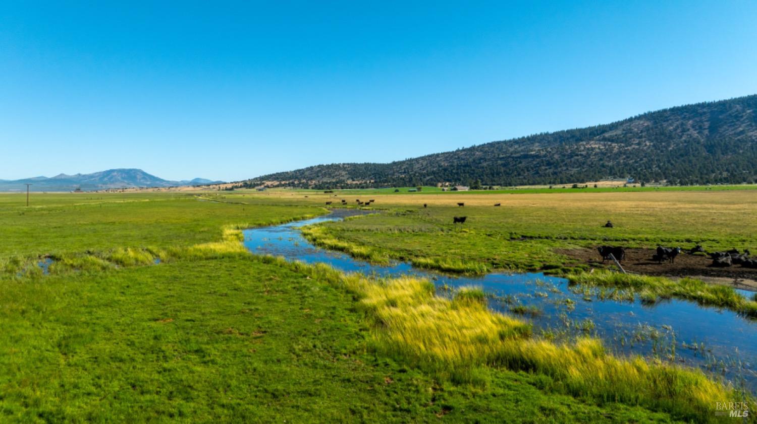 Detail Gallery Image 15 of 48 For 50744 Highway 49 Unkn, Loyalton,  CA 96118 - 4 Beds | 3 Baths