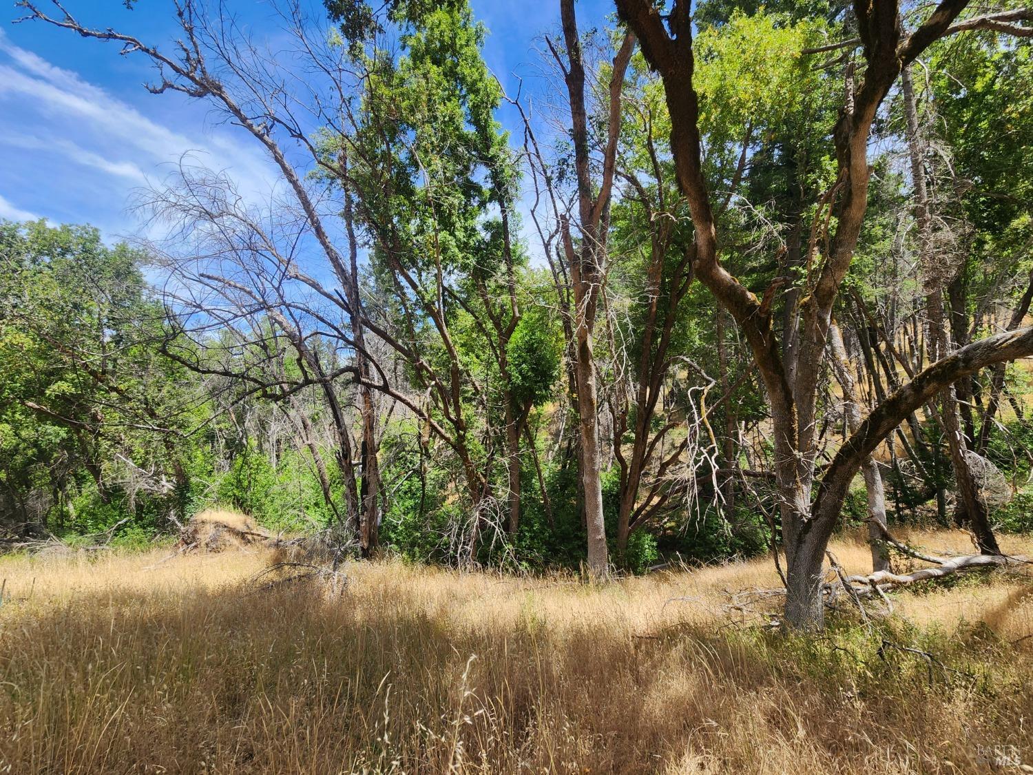 Detail Gallery Image 11 of 14 For 20925 Mid Mountain Rd, Upper Lake,  CA 95469 - – Beds | – Baths