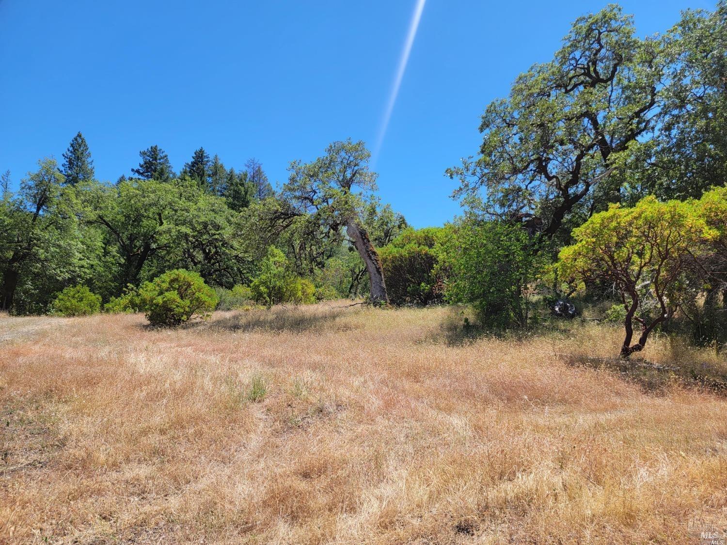 Detail Gallery Image 9 of 14 For 22551 Rifle Range Rd, Covelo,  CA 95428 - – Beds | – Baths