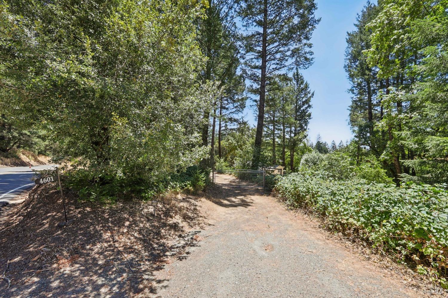 Detail Gallery Image 54 of 56 For 4601 Lake County Hwy, Calistoga,  CA 94515 - 2 Beds | 1 Baths