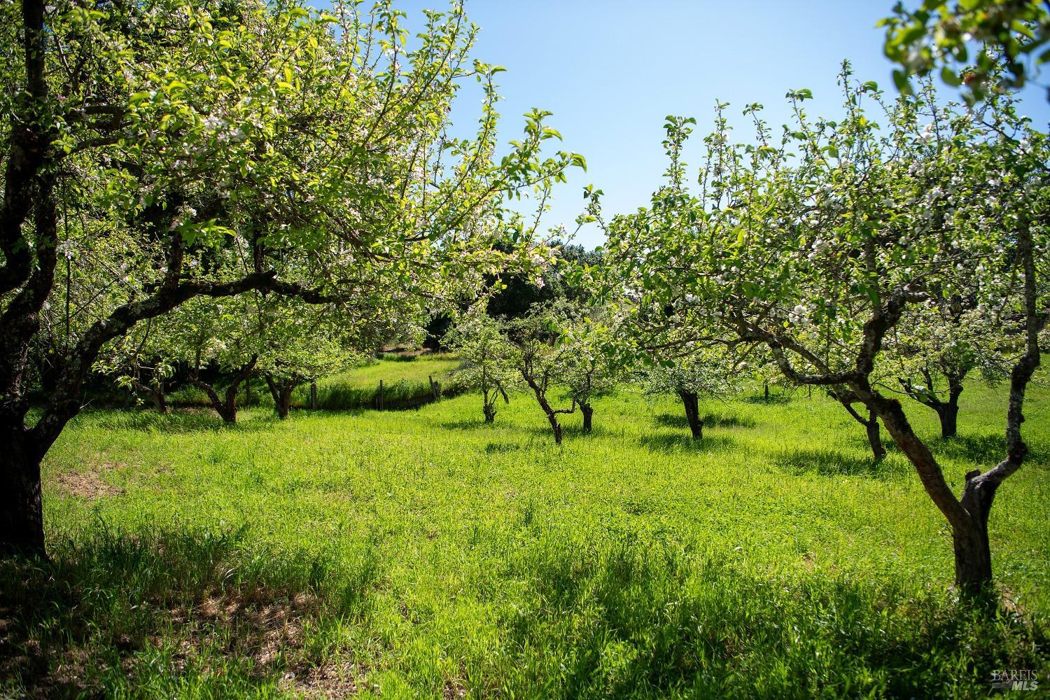 Detail Gallery Image 57 of 60 For 622 Sparkes Rd, Sebastopol,  CA 95472 - 3 Beds | 2/1 Baths