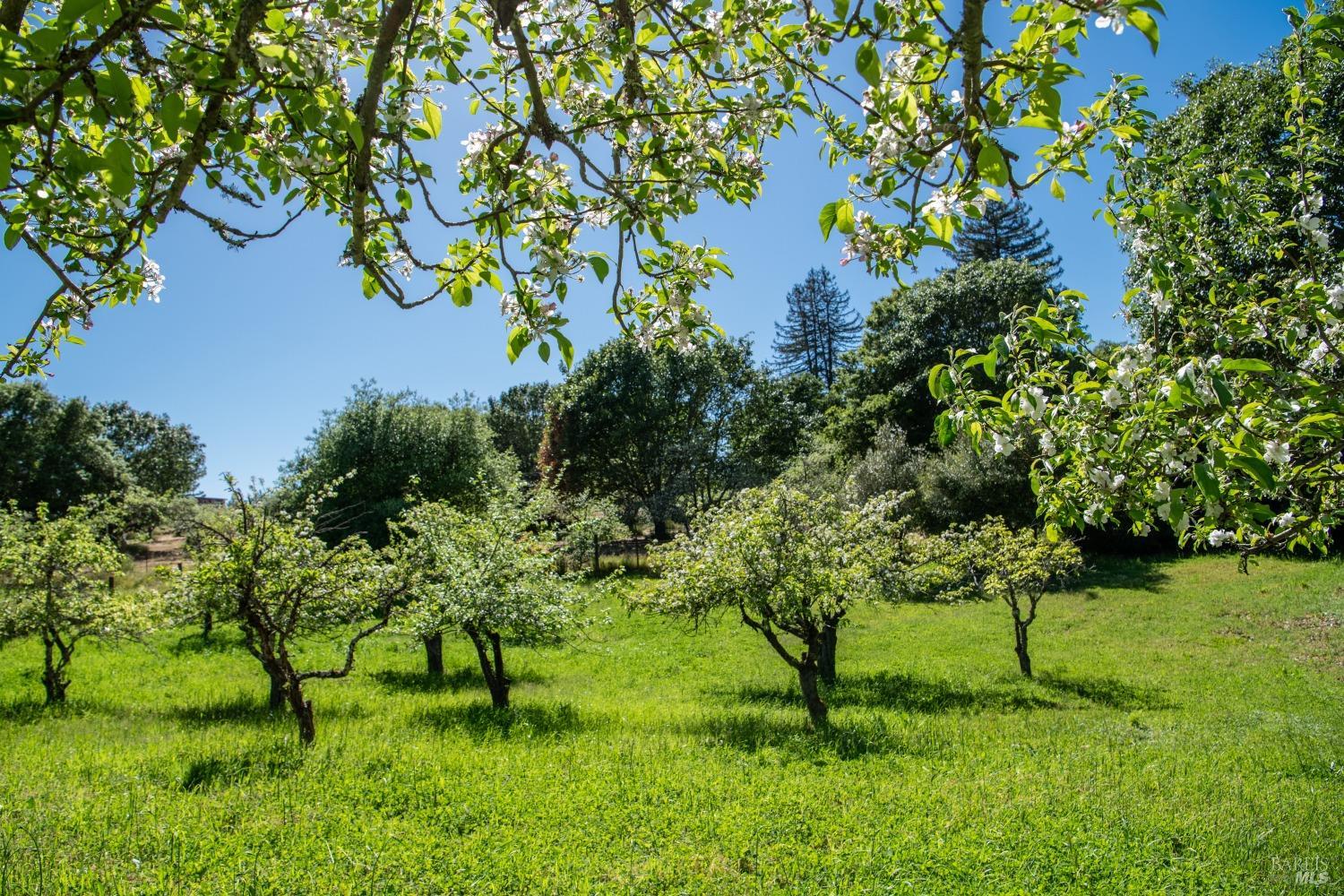 Detail Gallery Image 55 of 60 For 622 Sparkes Rd, Sebastopol,  CA 95472 - 3 Beds | 2/1 Baths