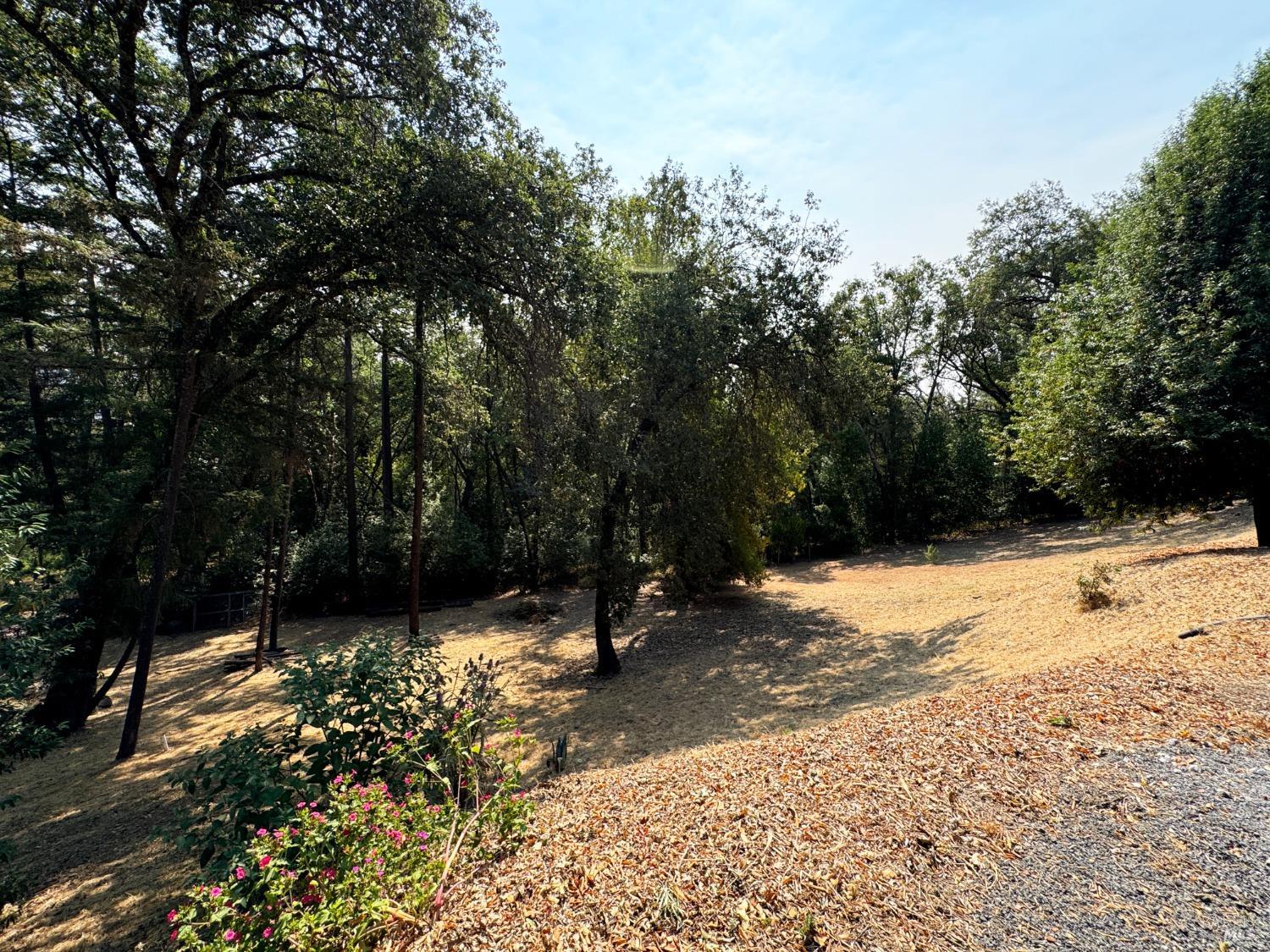 Detail Gallery Image 46 of 52 For 8481 Pinecrest Dr, Redwood Valley,  CA 95470 - 3 Beds | 2 Baths