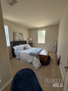 Detail Gallery Image 3 of 23 For 305 Foxwood Ln, Rio Vista,  CA 94571 - 2 Beds | 2 Baths