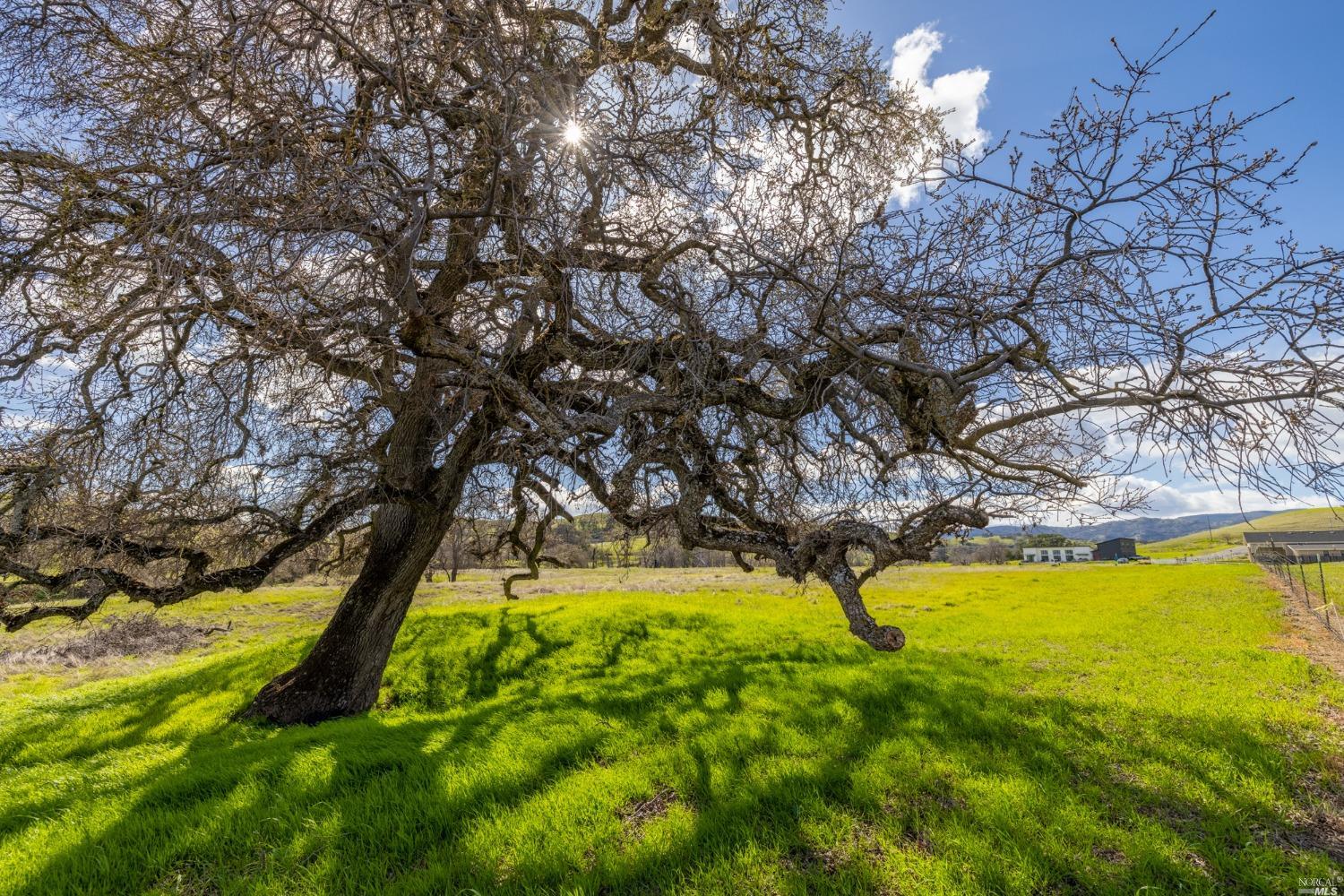 Detail Gallery Image 9 of 39 For 5 English Creek Ln, Vacaville,  CA 95688 - – Beds | – Baths