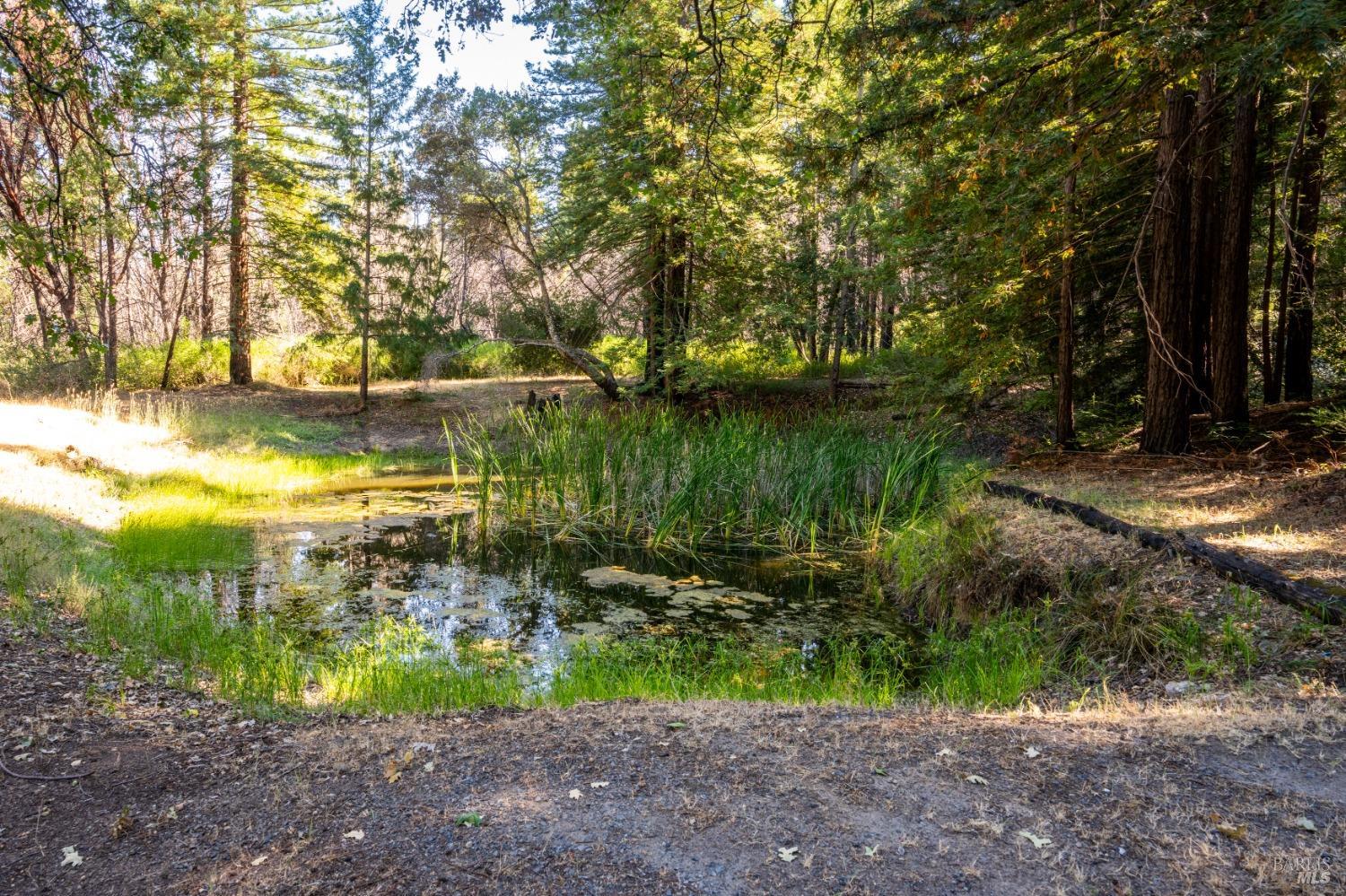 Detail Gallery Image 10 of 63 For 8676 Palmer Creek Rd, Healdsburg,  CA 95448 - 3 Beds | 2 Baths