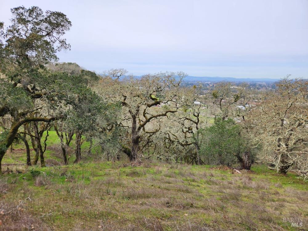 Detail Gallery Image 6 of 14 For 3494 Holland Dr, Santa Rosa,  CA 95404 - – Beds | – Baths