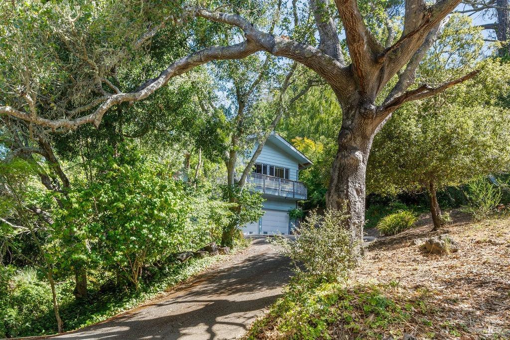 Detail Gallery Image 28 of 31 For 508 Midvale Way, Mill Valley,  CA 94941 - 4 Beds | 3 Baths