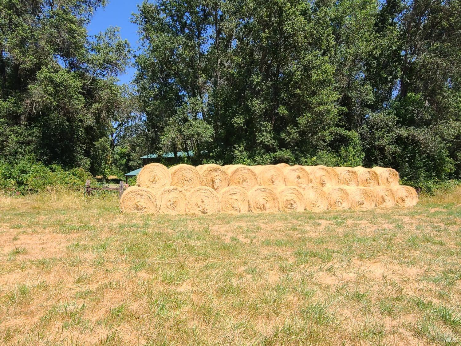 Detail Gallery Image 35 of 57 For 24271 Shady Ln, Covelo,  CA 95428 - 2 Beds | 2/1 Baths