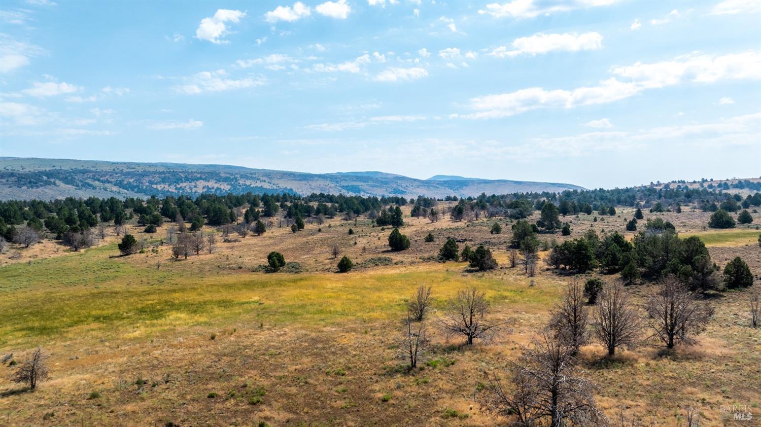 Detail Gallery Image 11 of 24 For 0 Cold Springs Rd, Madeline,  CA 96119 - – Beds | – Baths