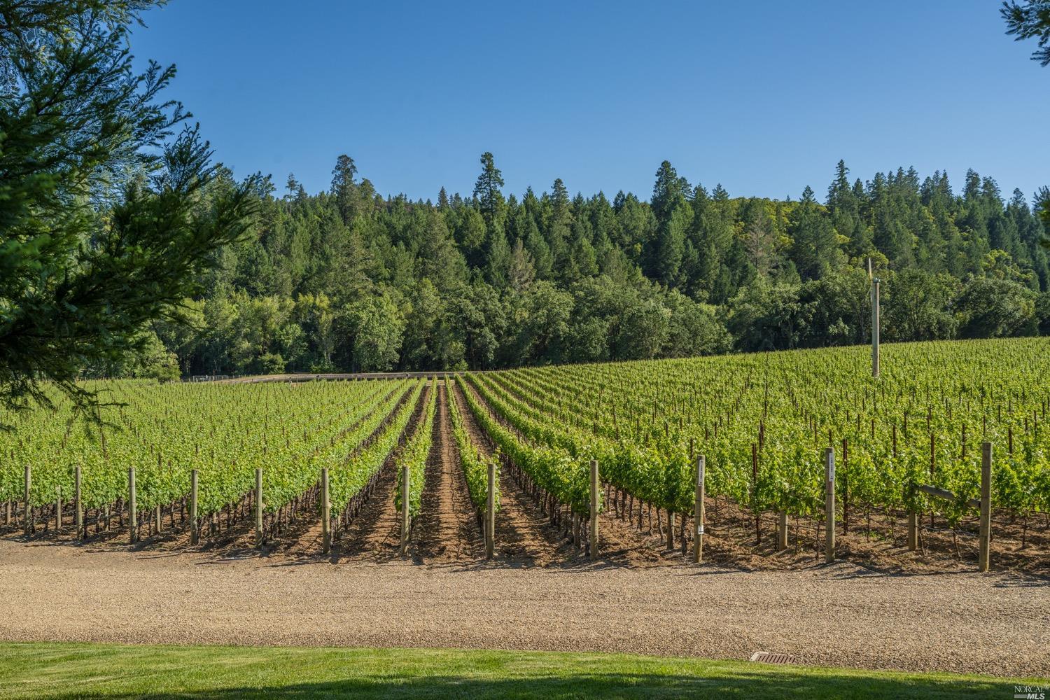 Detail Gallery Image 81 of 86 For 11080 Franz Valley Rd, Calistoga,  CA 94515 - 3 Beds | 4 Baths