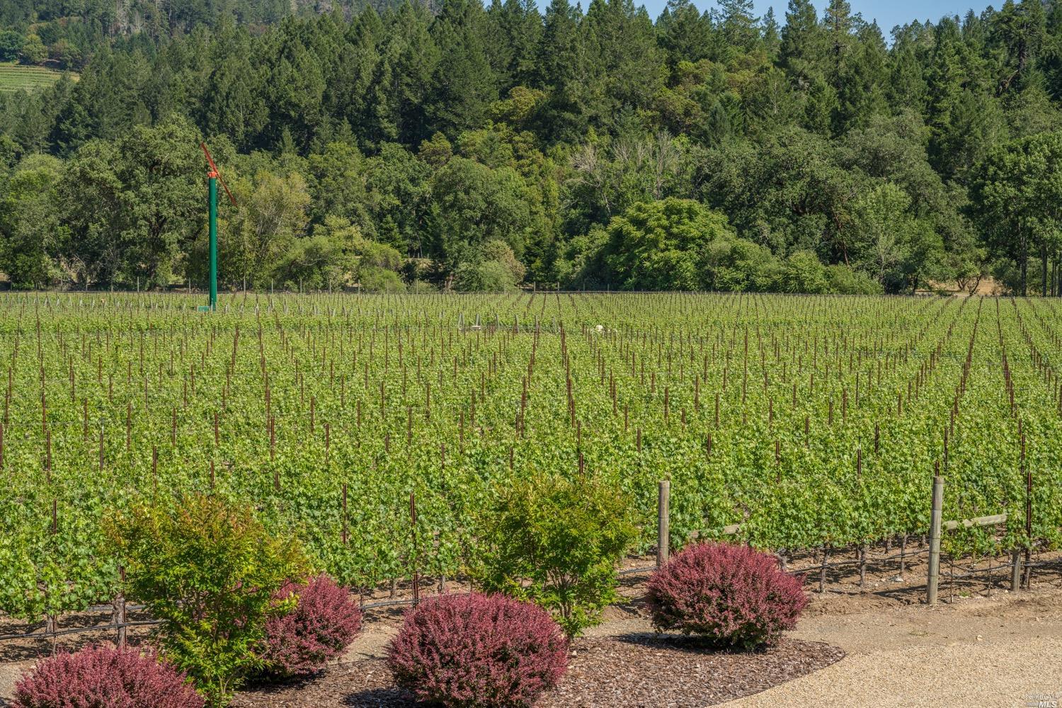 Detail Gallery Image 82 of 86 For 11080 Franz Valley Rd, Calistoga,  CA 94515 - 3 Beds | 4 Baths