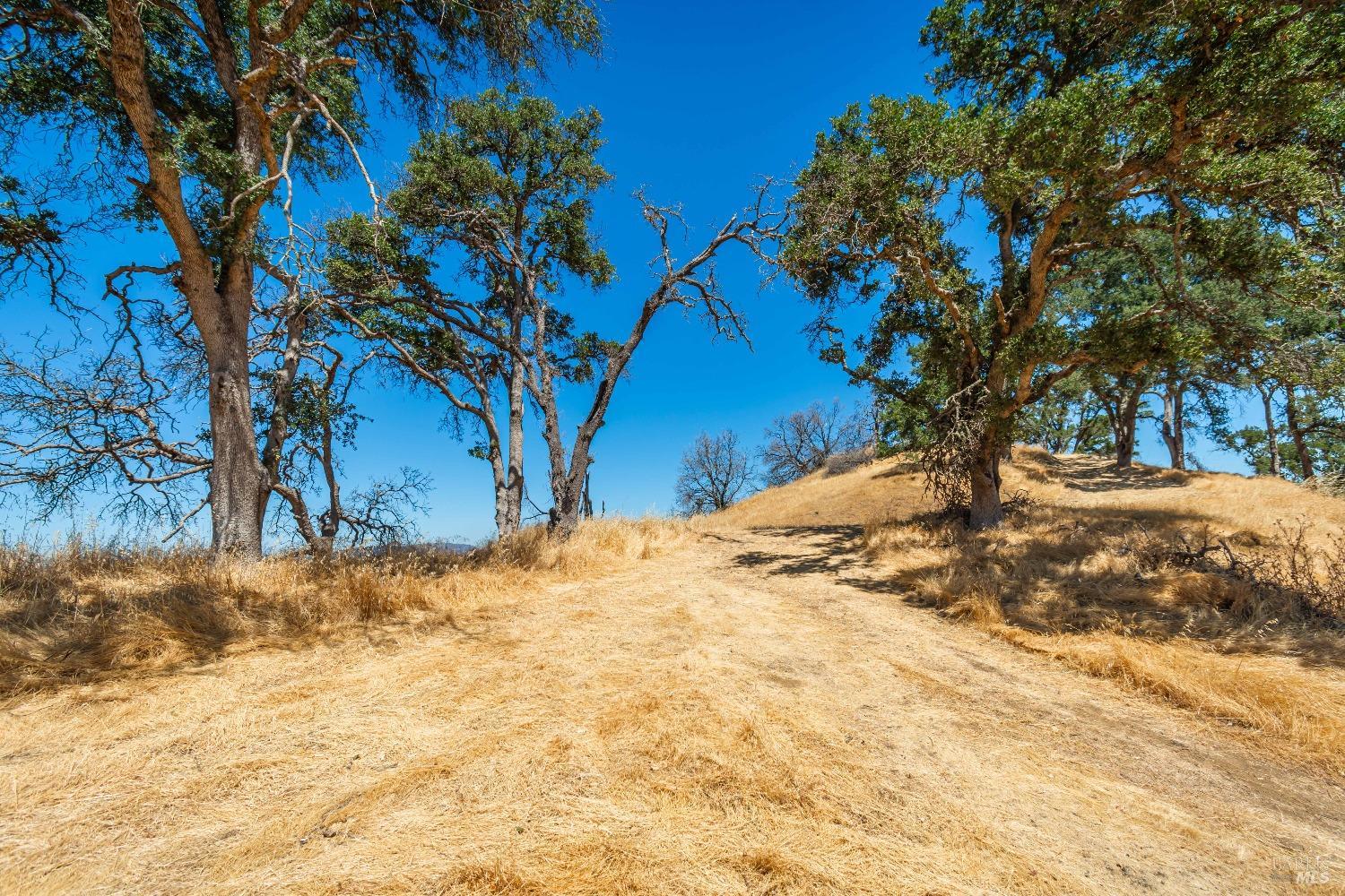 Detail Gallery Image 12 of 46 For 0 Rimrock Dr, Napa,  CA 94558 - – Beds | – Baths