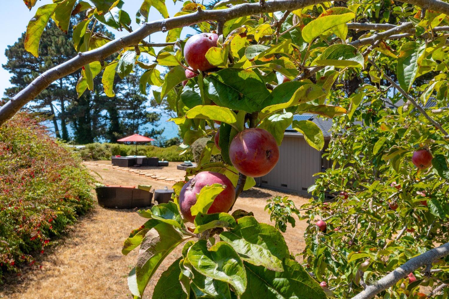 Detail Gallery Image 74 of 89 For 11401 Lansing St, Mendocino,  CA 95460 - 3 Beds | 3 Baths