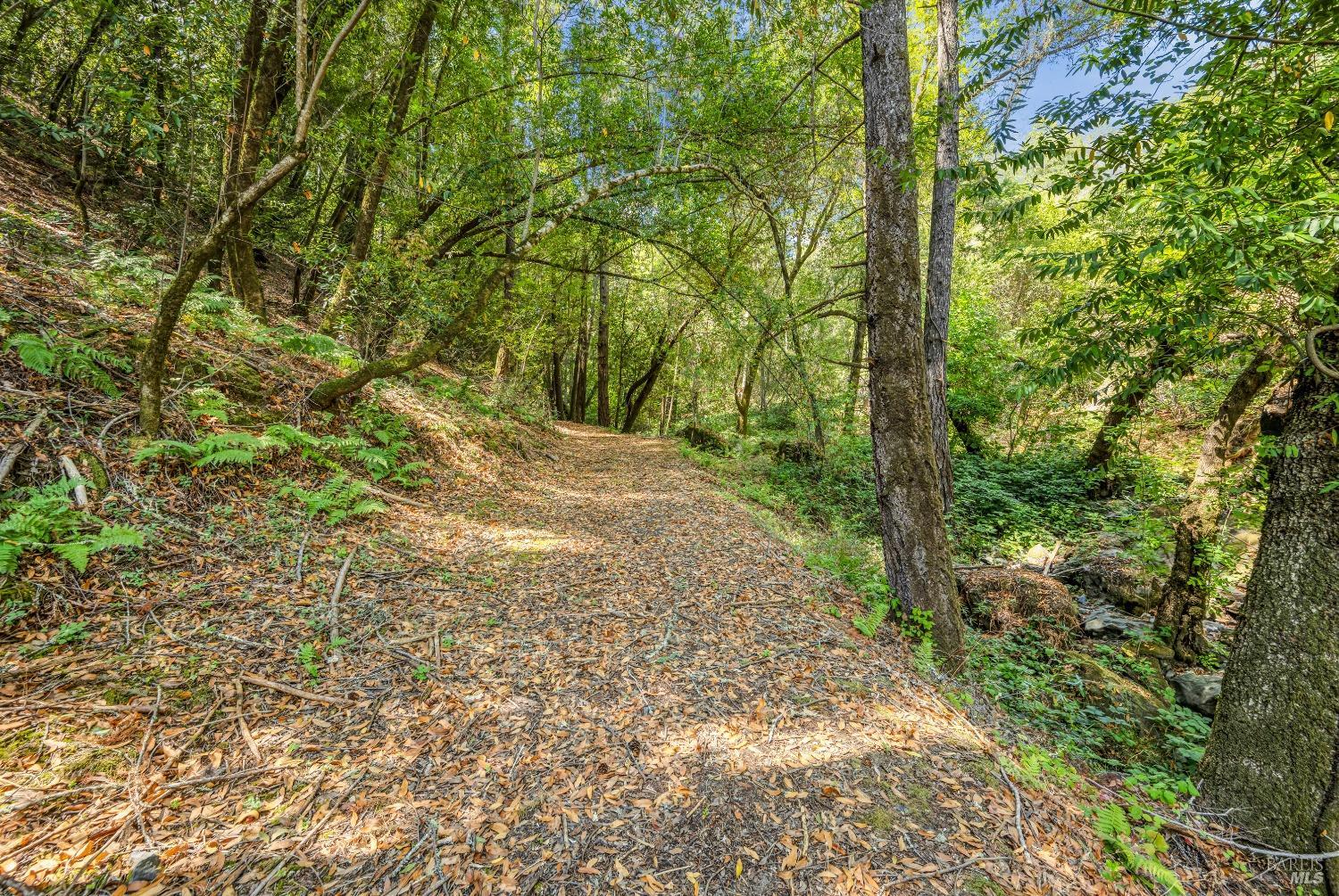 Detail Gallery Image 36 of 46 For 1311 W Dry Creek Rd, Healdsburg,  CA 95448 - 2 Beds | 1 Baths