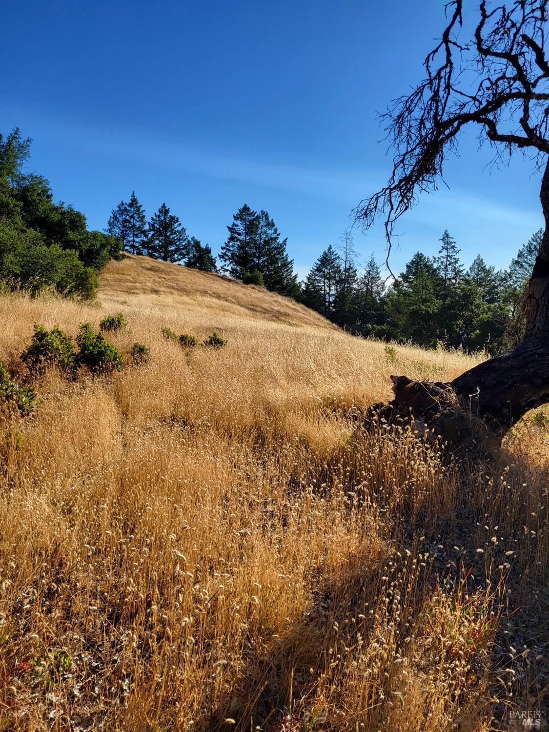 Detail Gallery Image 5 of 9 For 6130 Cavedale Rd, Glen Ellen,  CA 95442 - 3 Beds | 1 Baths