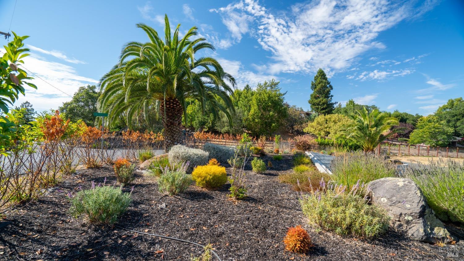 Detail Gallery Image 50 of 58 For 7074 Cold Springs Rd, Penngrove,  CA 94951 - 4 Beds | 4/1 Baths