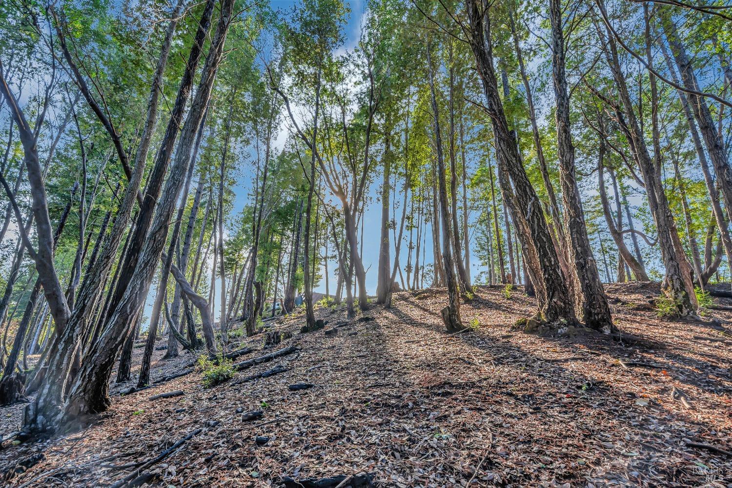 Detail Gallery Image 36 of 37 For 19711 Old Cazadero Rd, Guerneville,  CA 95446 - 5 Beds | 4 Baths