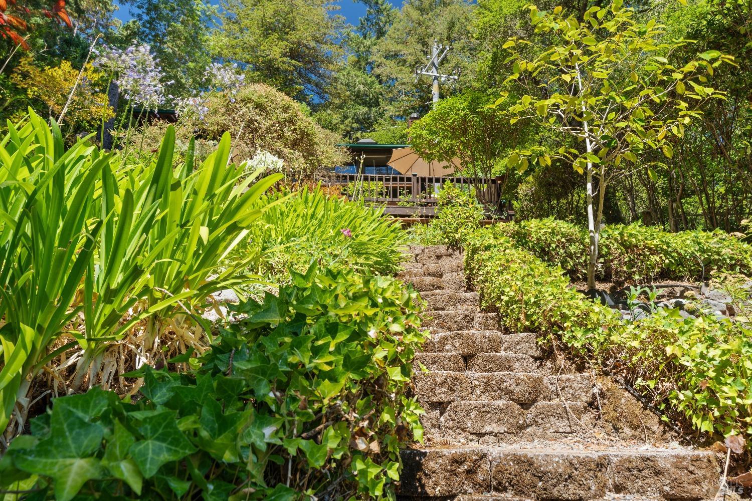 Detail Gallery Image 25 of 34 For 17815 Old Monte Rio Rd, Guerneville,  CA 95446 - 2 Beds | 1/1 Baths