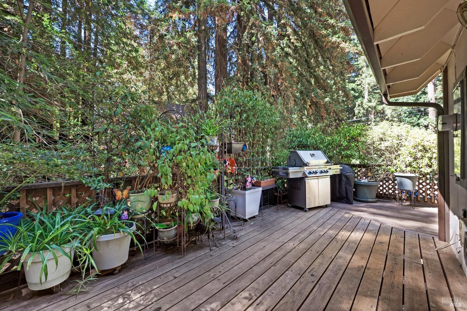 Detail Gallery Image 18 of 34 For 14529 Canyon 2 Rd, Guerneville,  CA 95446 - 3 Beds | 2 Baths