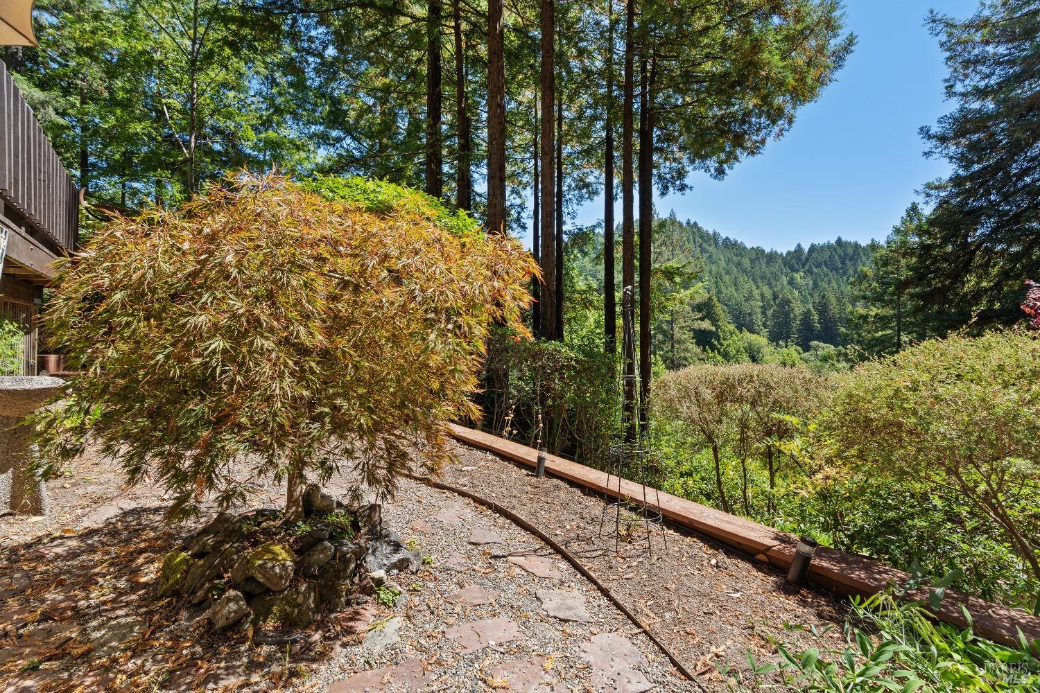 Detail Gallery Image 23 of 34 For 17815 Old Monte Rio Rd, Guerneville,  CA 95446 - 2 Beds | 1/1 Baths