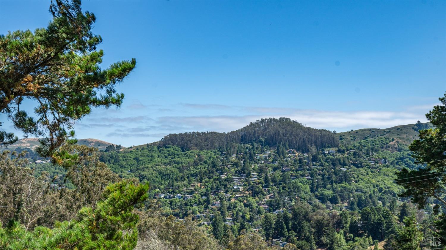 Detail Gallery Image 9 of 43 For 1212 Lattie Ln, Mill Valley,  CA 94941 - 3 Beds | 2 Baths