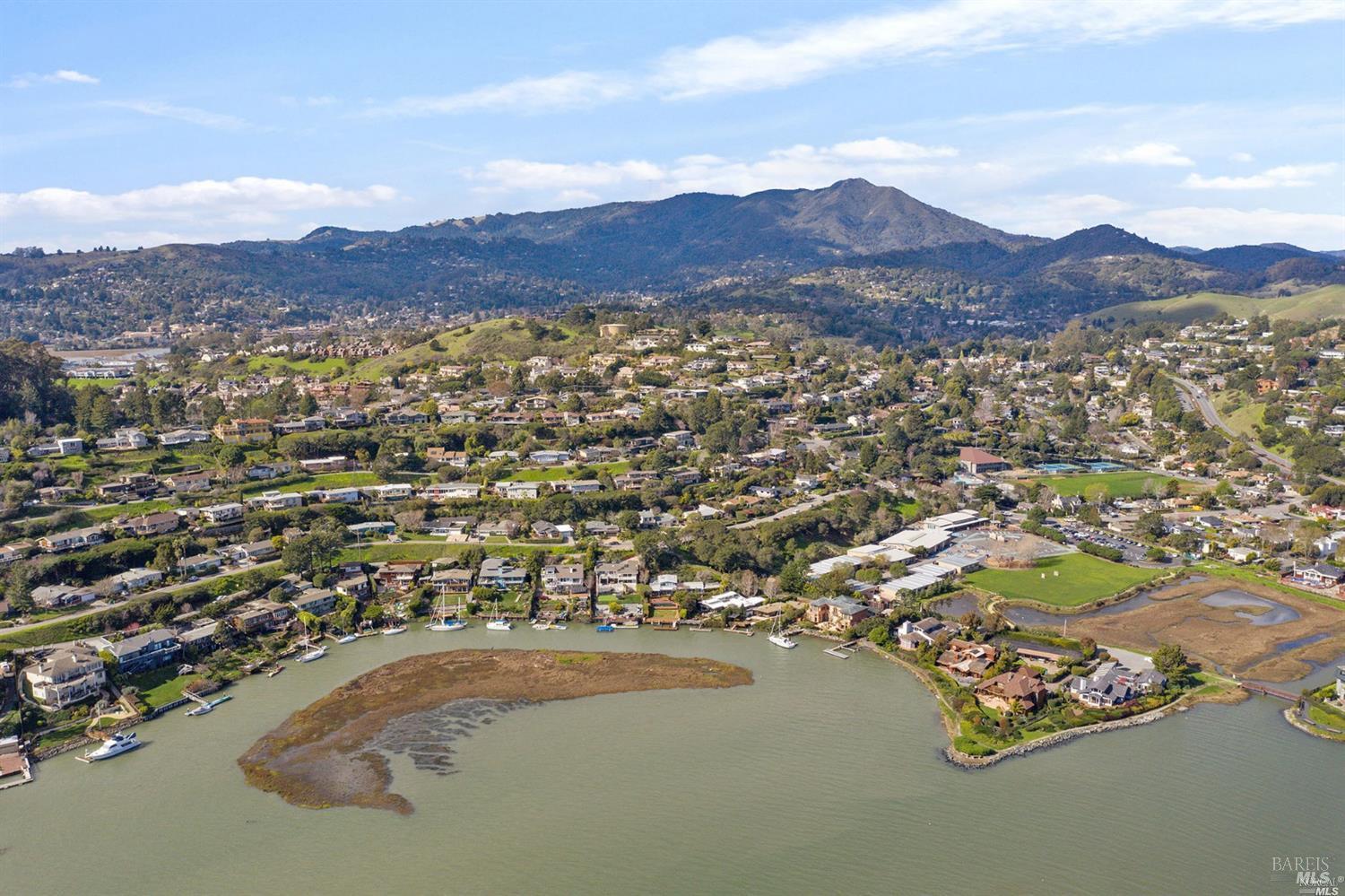 Detail Gallery Image 49 of 59 For 247 Reed Blvd, Mill Valley,  CA 94941 - 5 Beds | 4/1 Baths