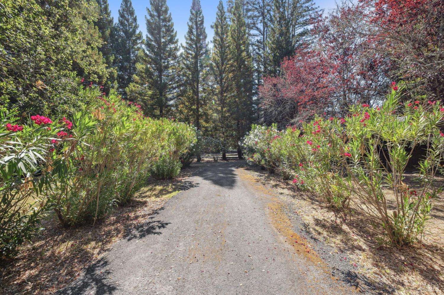 Detail Gallery Image 61 of 83 For 12631 Dupont Rd, Sebastopol,  CA 95472 - 4 Beds | 4/2 Baths