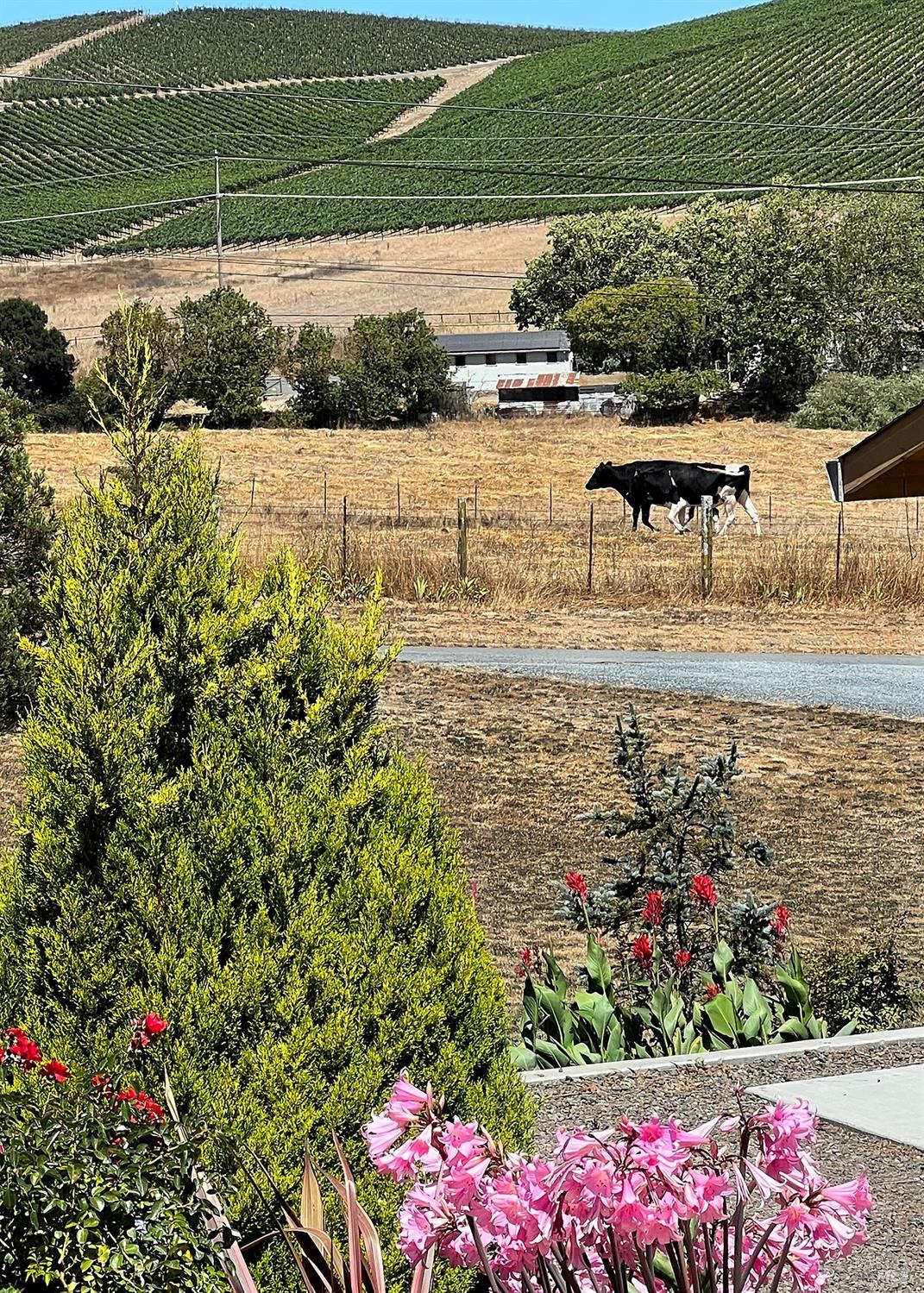 Detail Gallery Image 50 of 50 For 64 Balma Ln, Petaluma,  CA 94952 - 3 Beds | 2 Baths