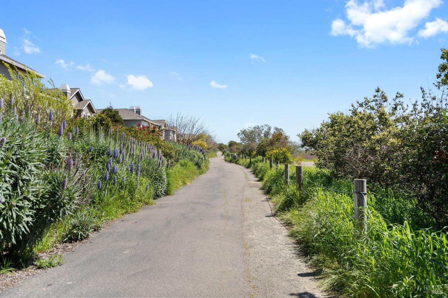 Detail Gallery Image 44 of 45 For 55 Dowitcher Way, San Rafael,  CA 94901 - 3 Beds | 2/1 Baths