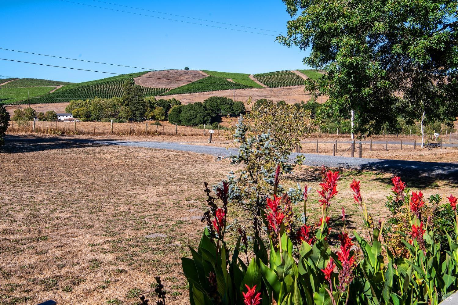 Detail Gallery Image 48 of 50 For 64 Balma Ln, Petaluma,  CA 94952 - 3 Beds | 2 Baths