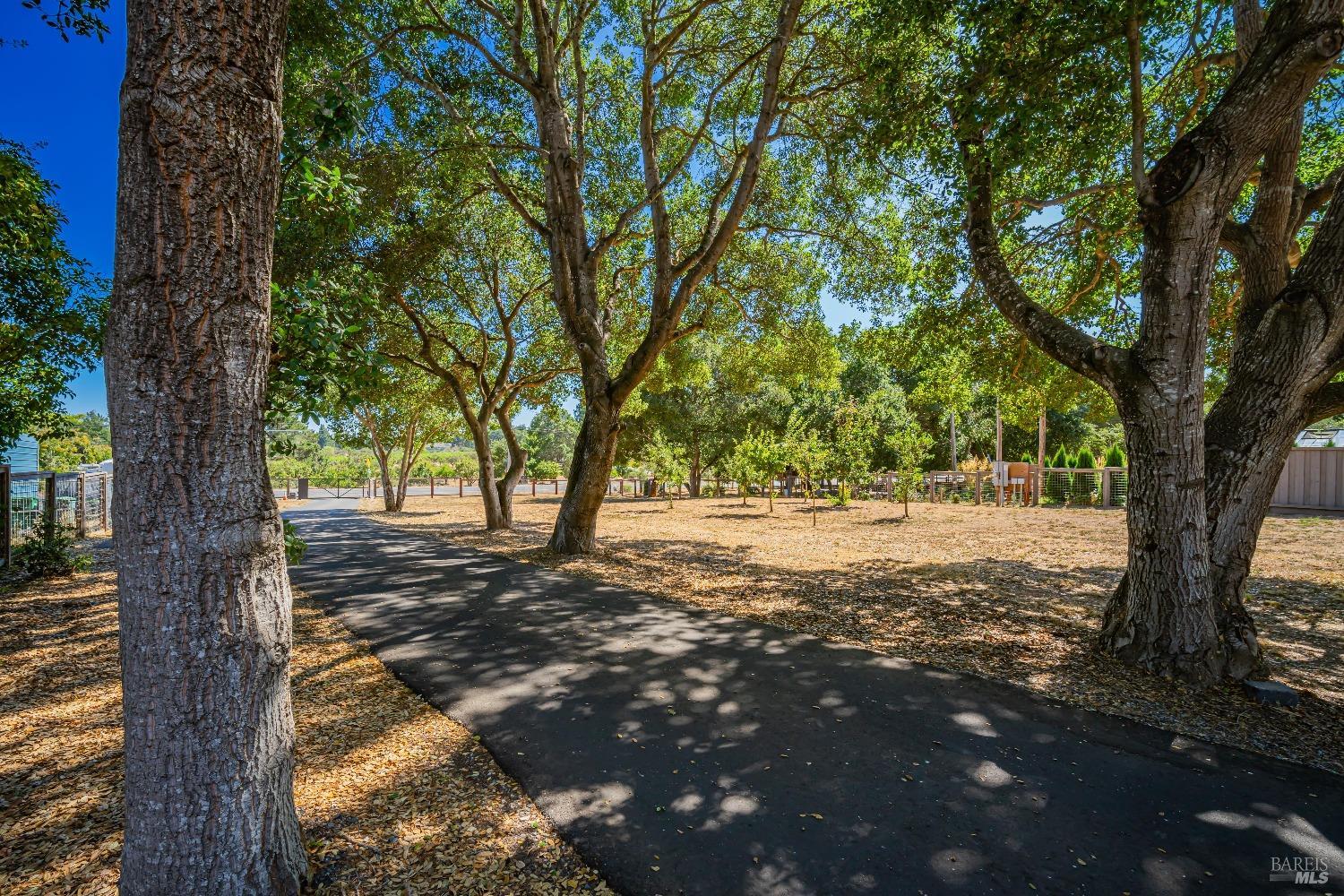 Detail Gallery Image 3 of 43 For 1040 Bloomfield Rd, Sebastopol,  CA 95472 - 4 Beds | 3/1 Baths