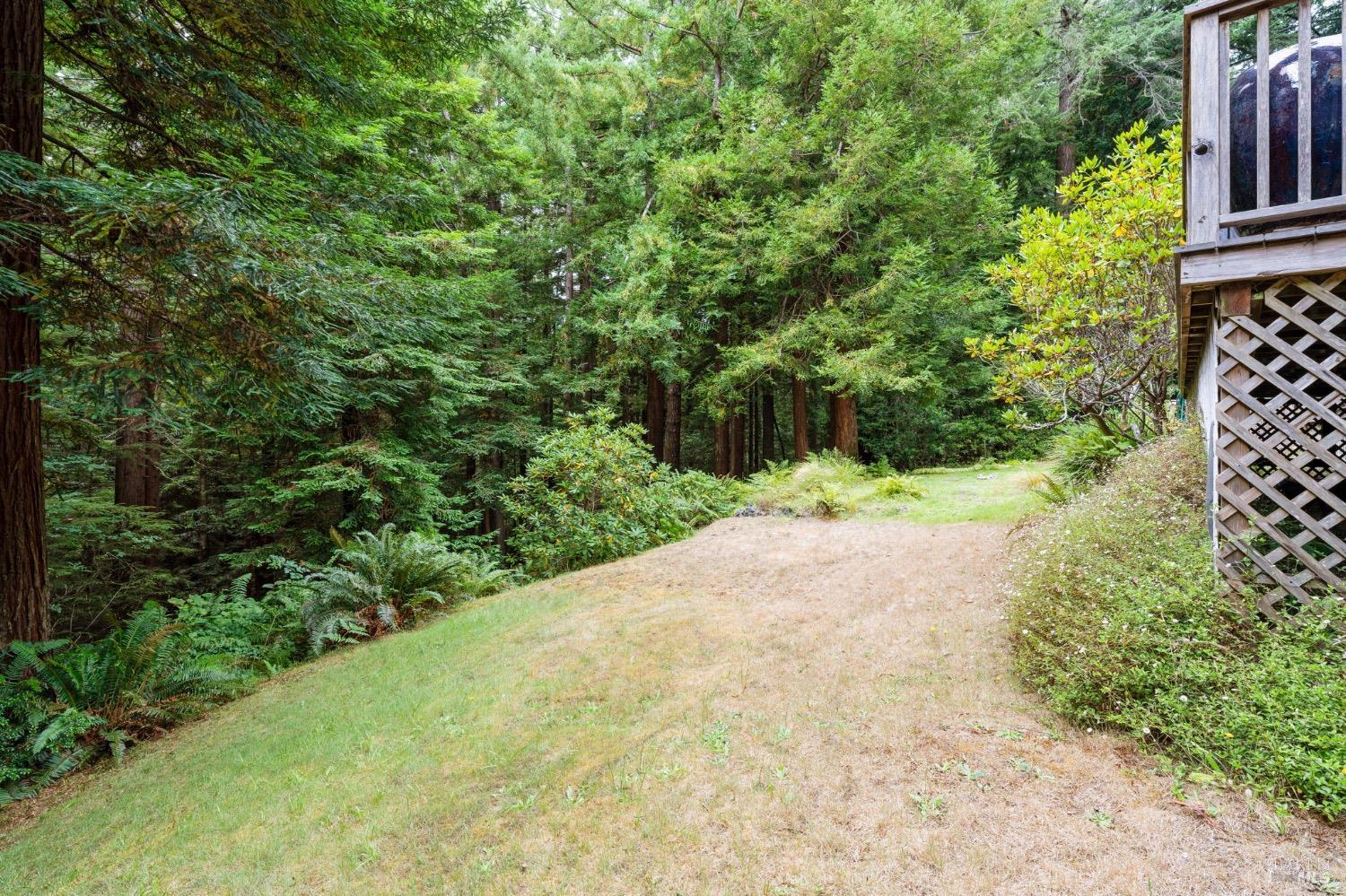 Detail Gallery Image 33 of 42 For 17560 Redwood Springs Dr, Fort Bragg,  CA 95437 - 3 Beds | 2 Baths