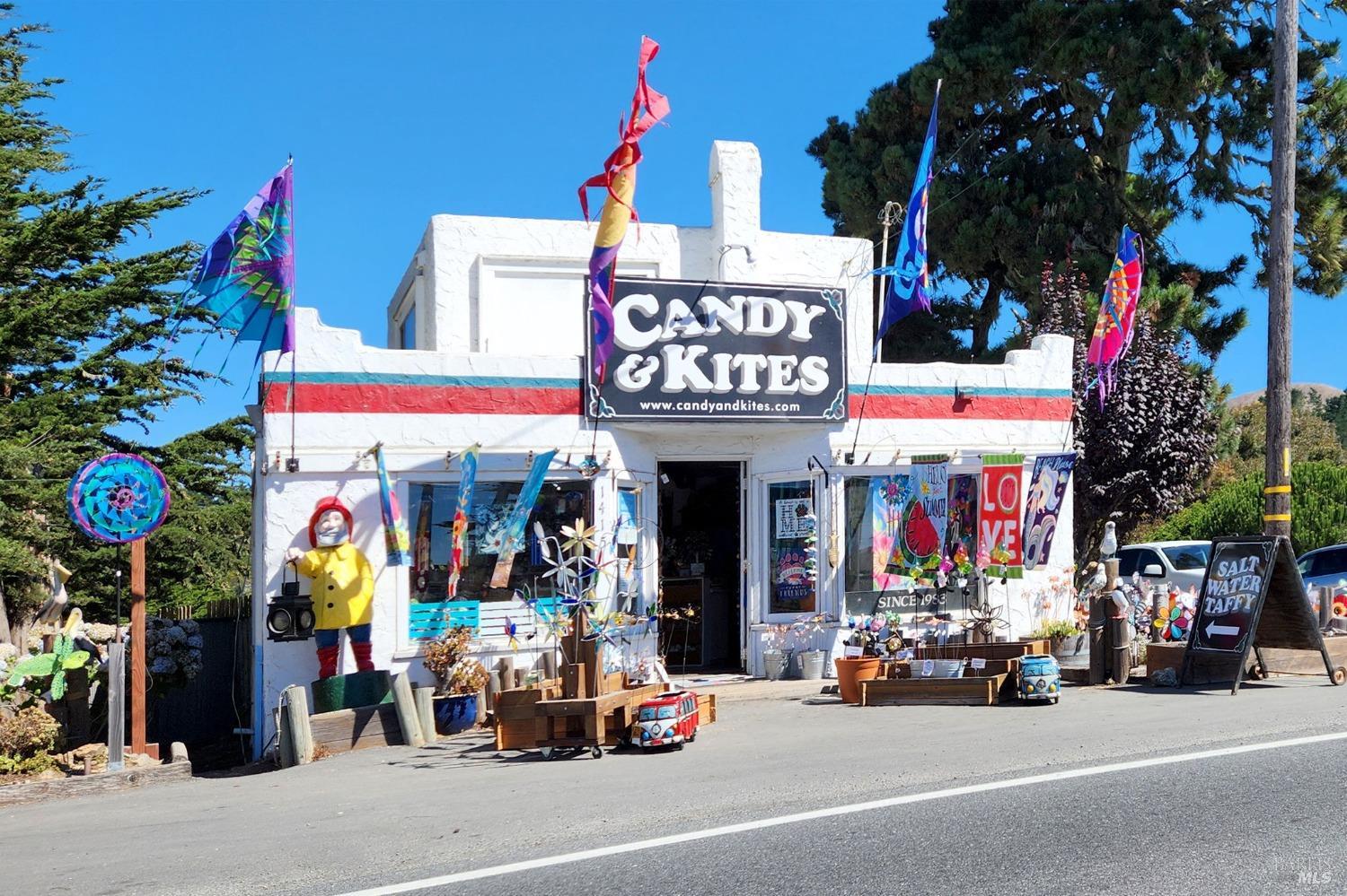 Bay View Street, Bodega Bay, California image 38