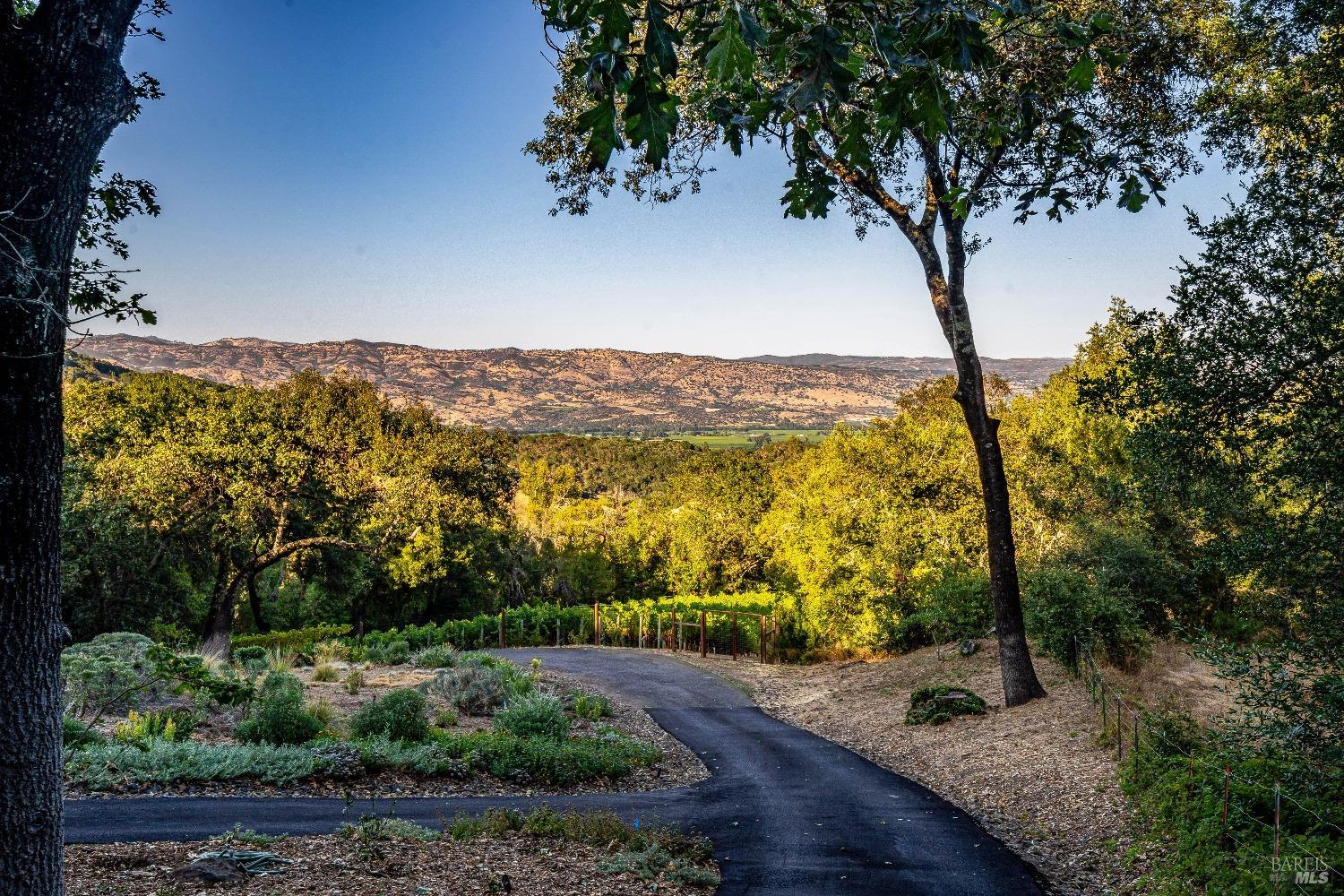 Detail Gallery Image 48 of 50 For 4261 Dry Creek Rd, Napa,  CA 94558 - 3 Beds | 3/1 Baths